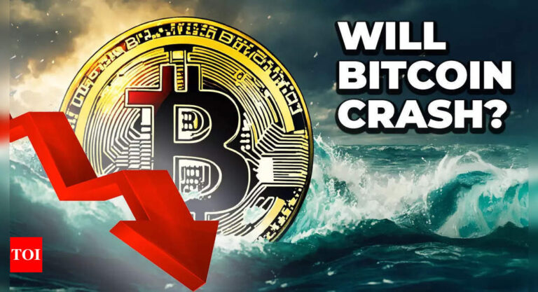 Bitcoin’s Potential Crash to $20,000: Peter Schiff’s Prediction